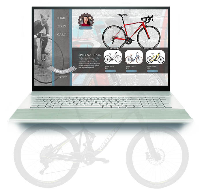 Roar Bikes